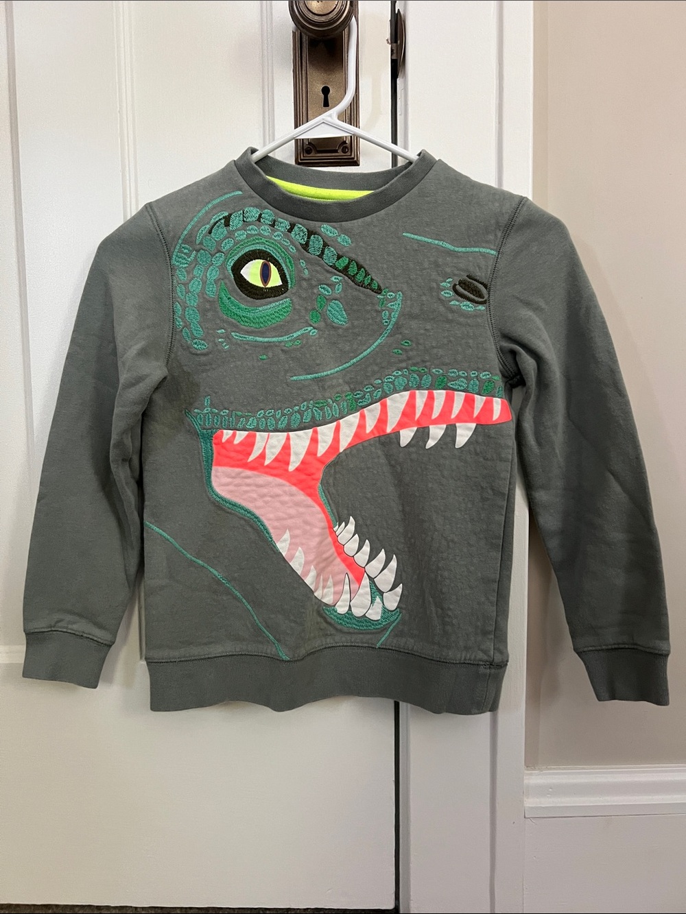 Mini Boden Olive Green Dinosaur Embroidered/Graphic Sweatshirt